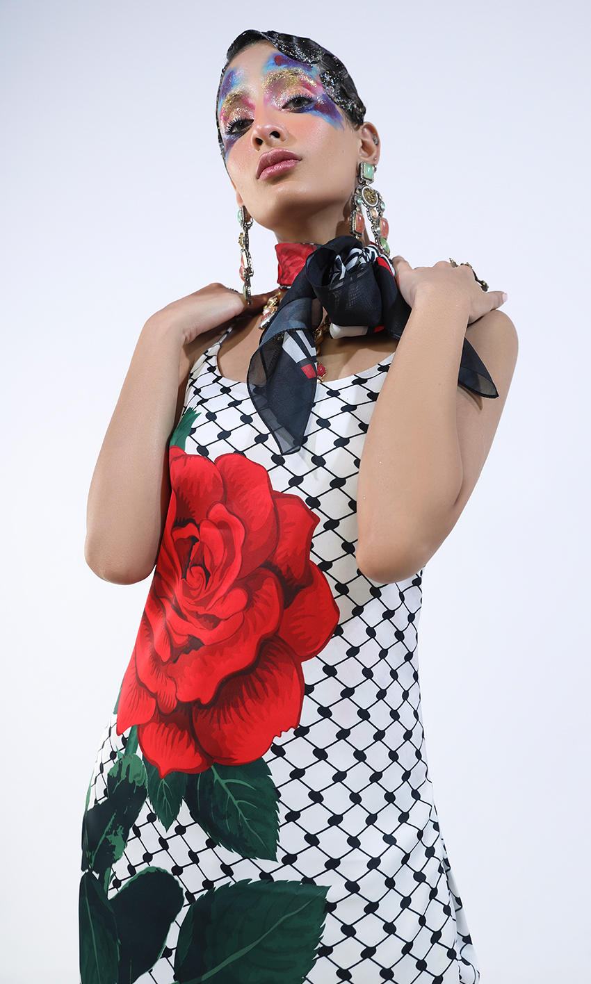 Picture of NAFTR26-04