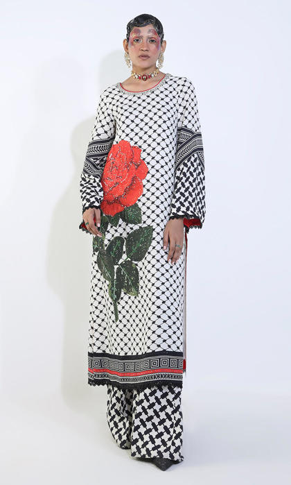 Picture of NAFTR26-13