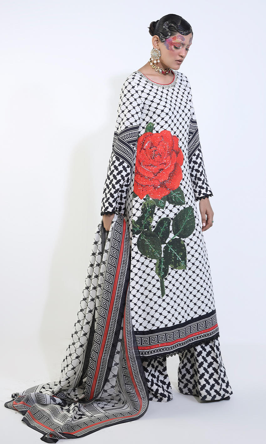 Picture of NAFTR26-13