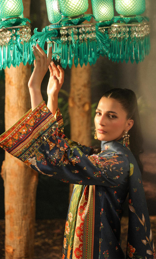 Picture of Maharaja Express B