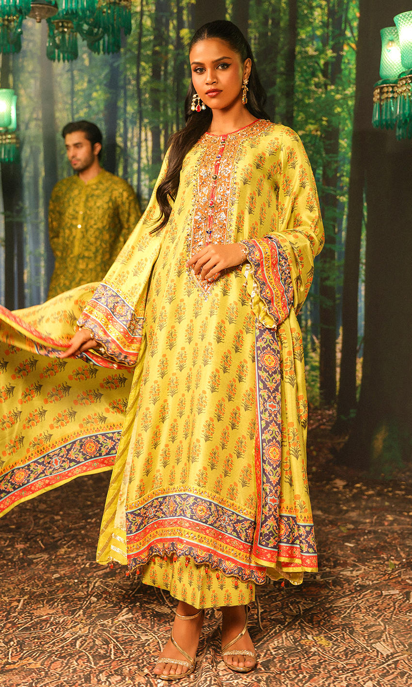 Picture of Nargis Nirvana