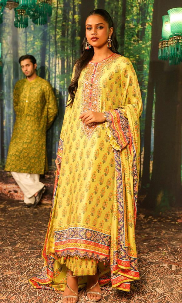 Picture of Nargis Nirvana