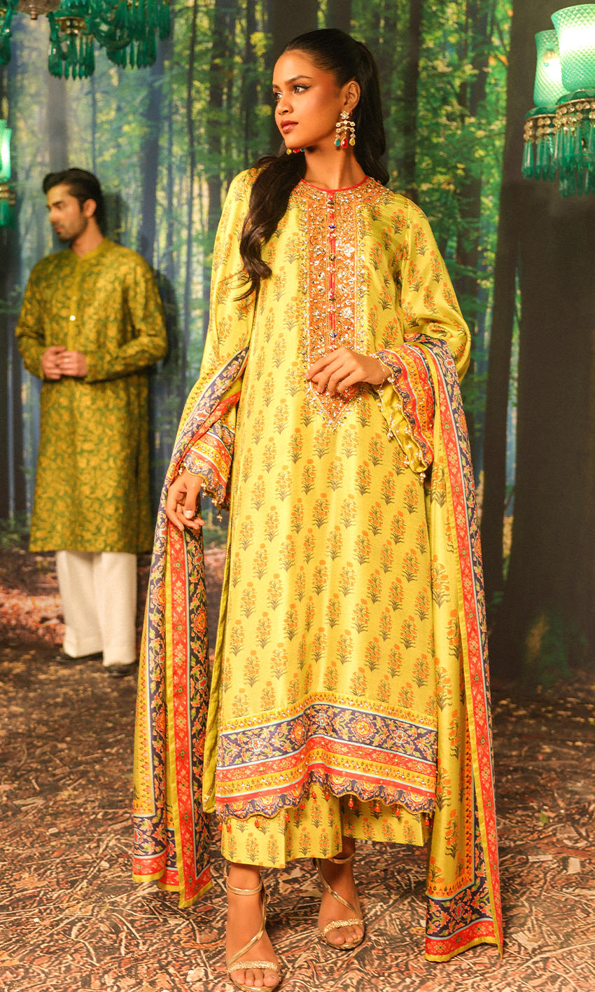 Picture of Nargis Nirvana