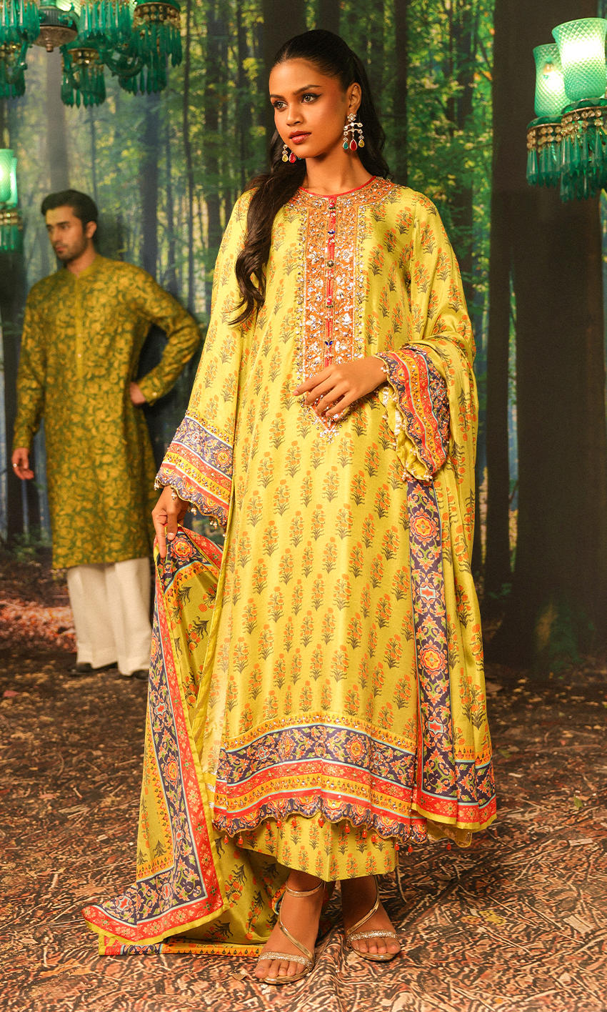 Picture of Nargis Nirvana