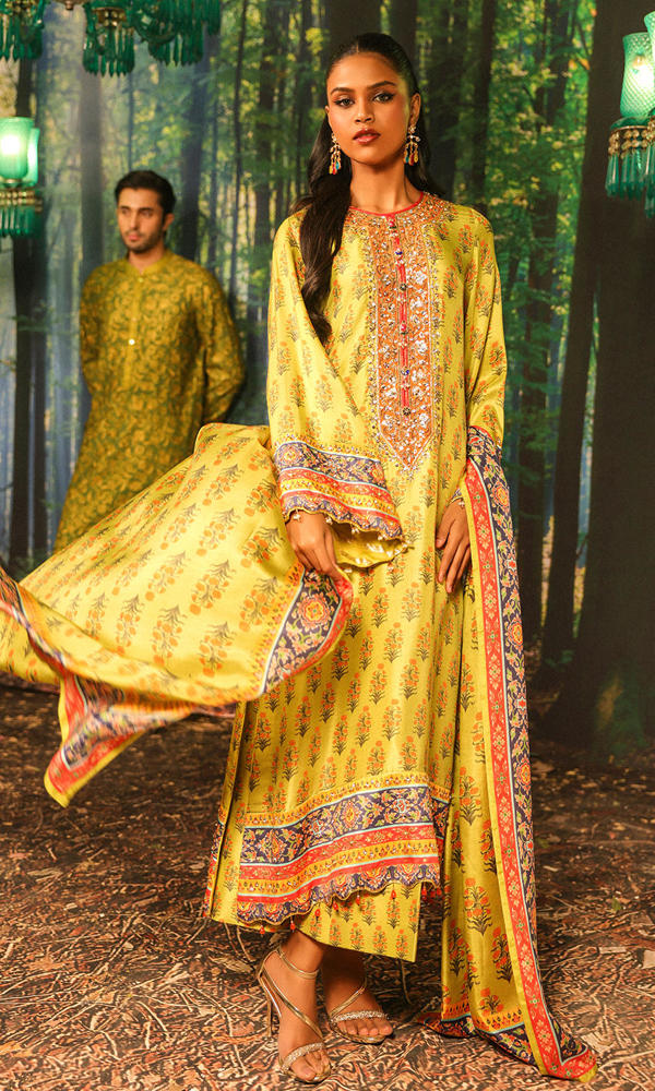 Picture of Nargis Nirvana