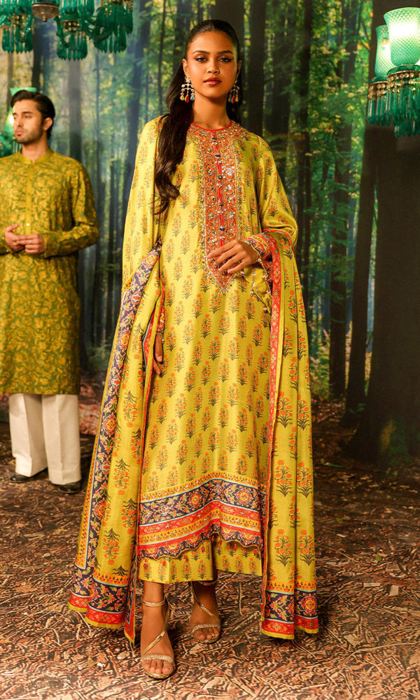 Picture of Nargis Nirvana