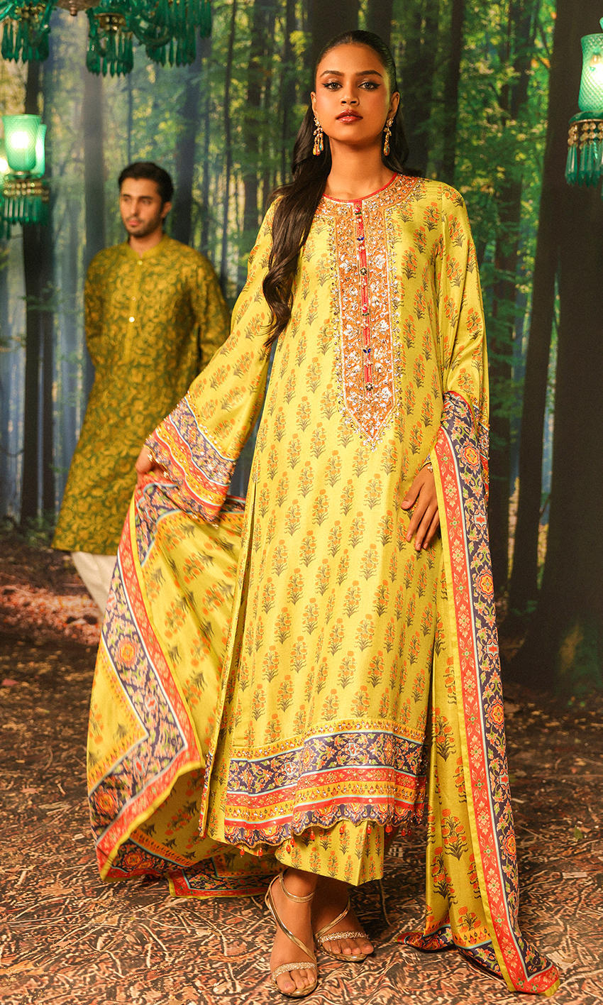 Picture of Nargis Nirvana