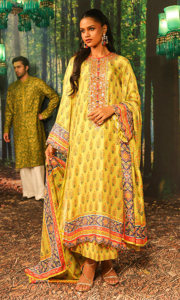 Picture of Nargis Nirvana